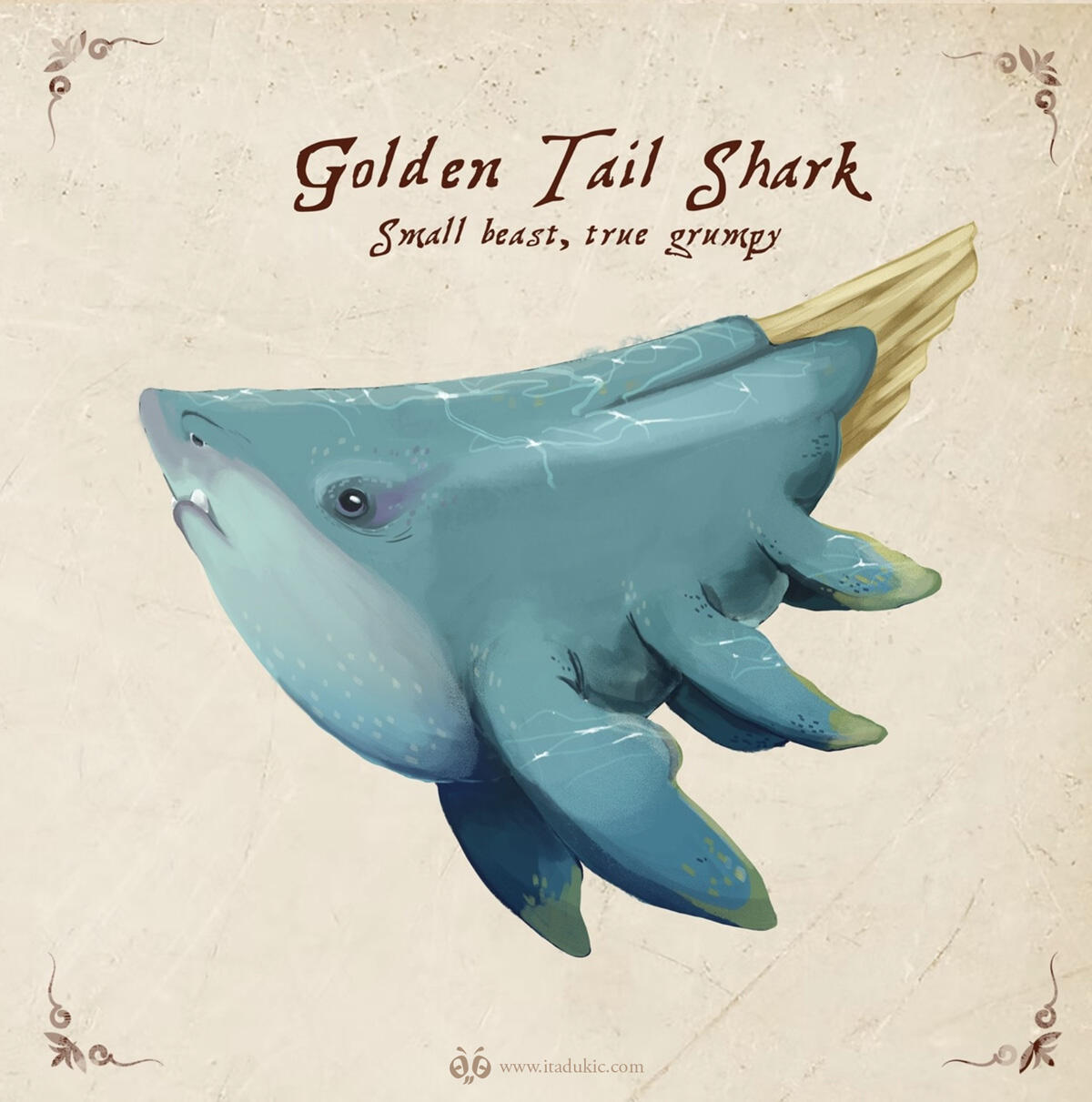Shark Illustration for TTRPG
